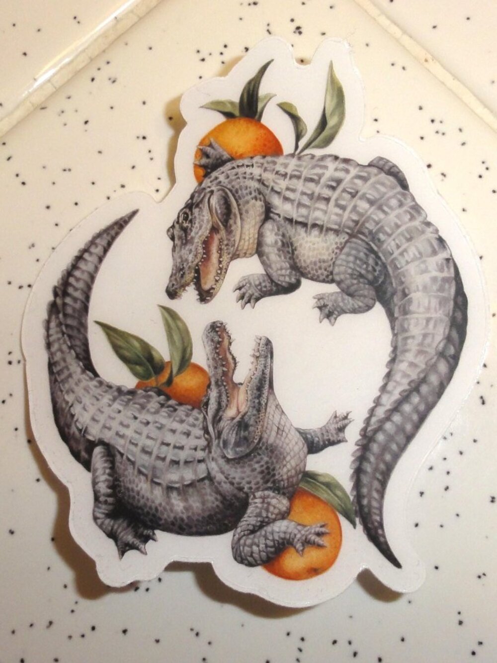 Alligator and Florida Oranges Sticker V. Steiner decal